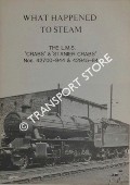 Book cover of What Happened to Steam by HANDS, Peter